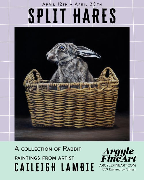 bunny picture