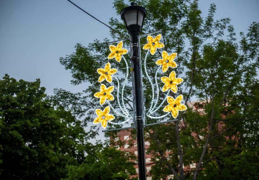A flower light on a lamp standard post