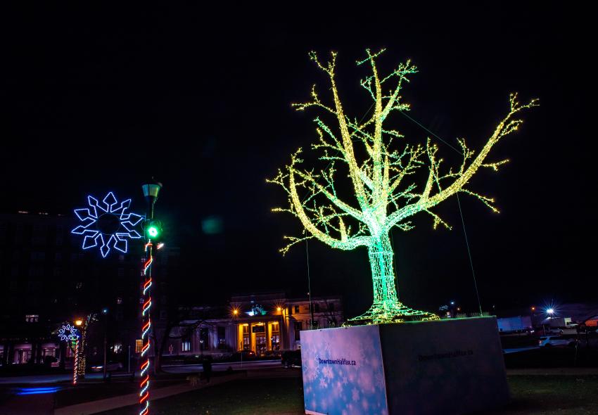 A holiday tree lit up in a park