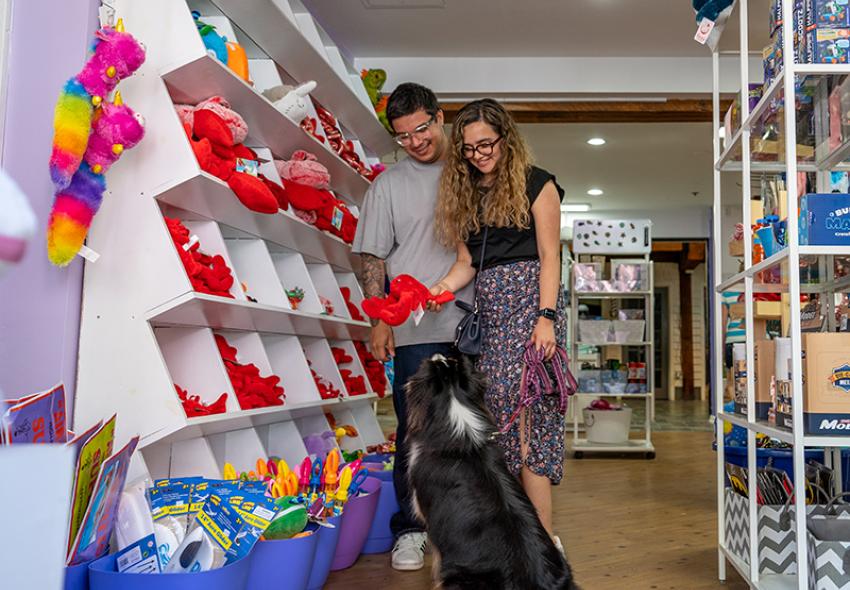 Many shops are also dog-friendly in Downtown Halifax. 