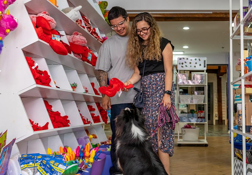 Many shops in Downtown Halifax are dog-friendly. Just be sure to ask first if your dog is allowed!