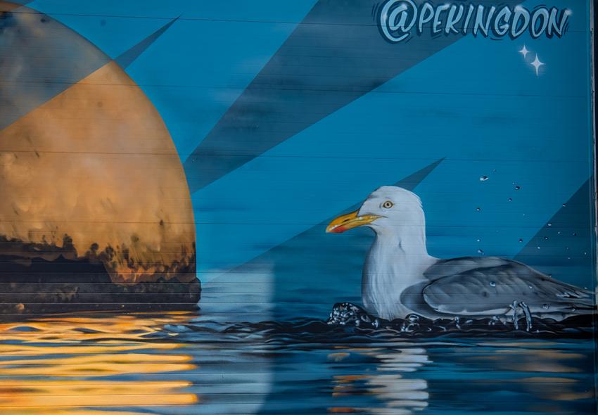 Mural by @pekingdon, Halifax Seaport
