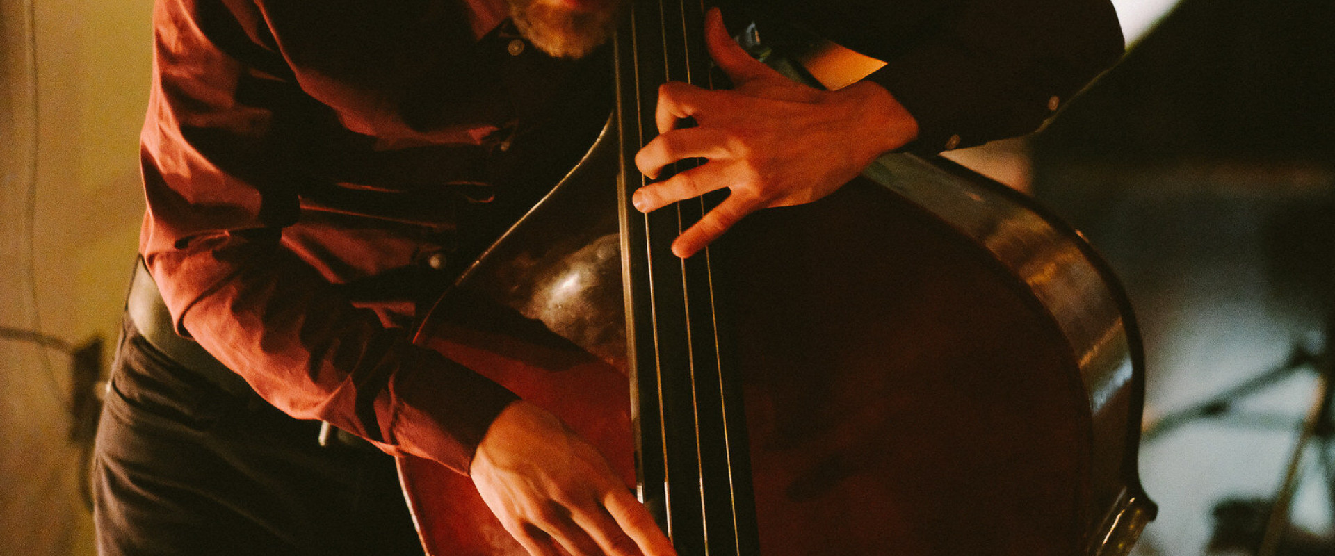Musician playing the stand up bass, his ear to the strings.