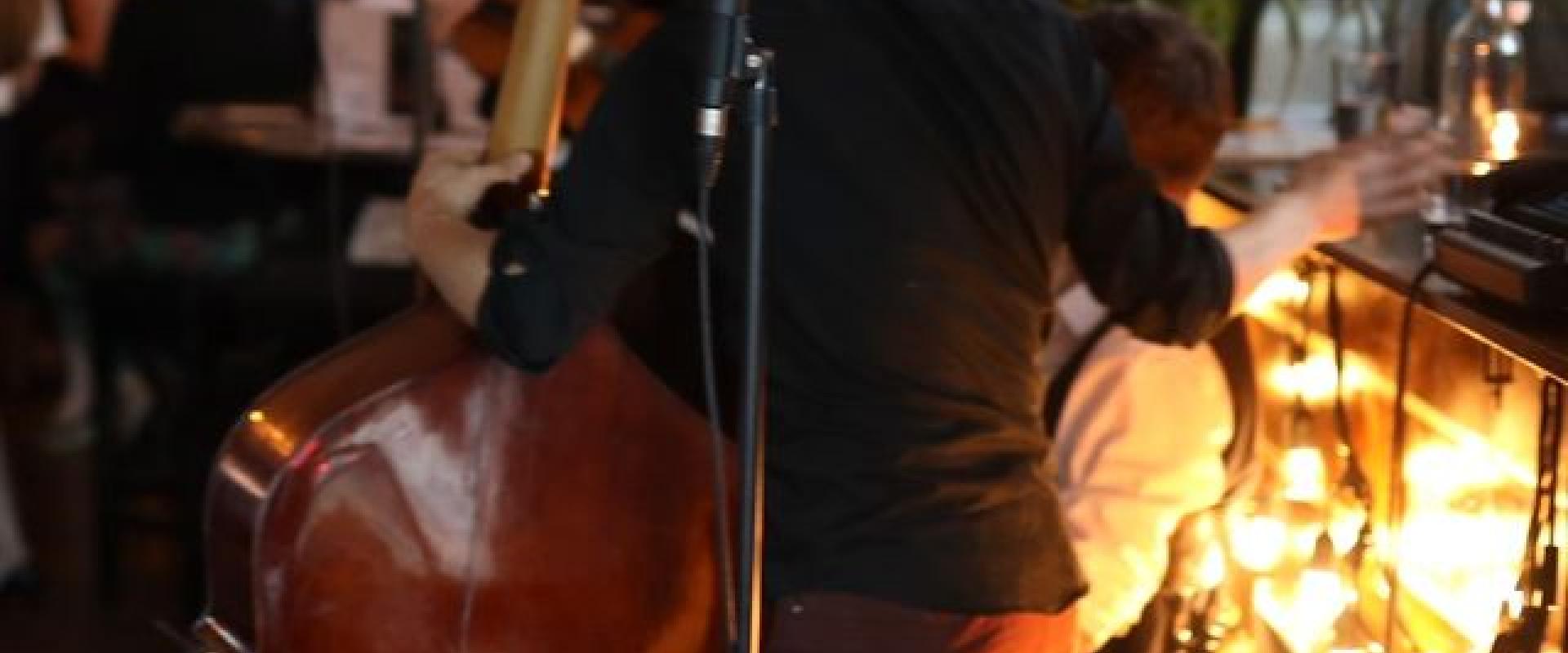 Musician playing the standup bass at Obladee