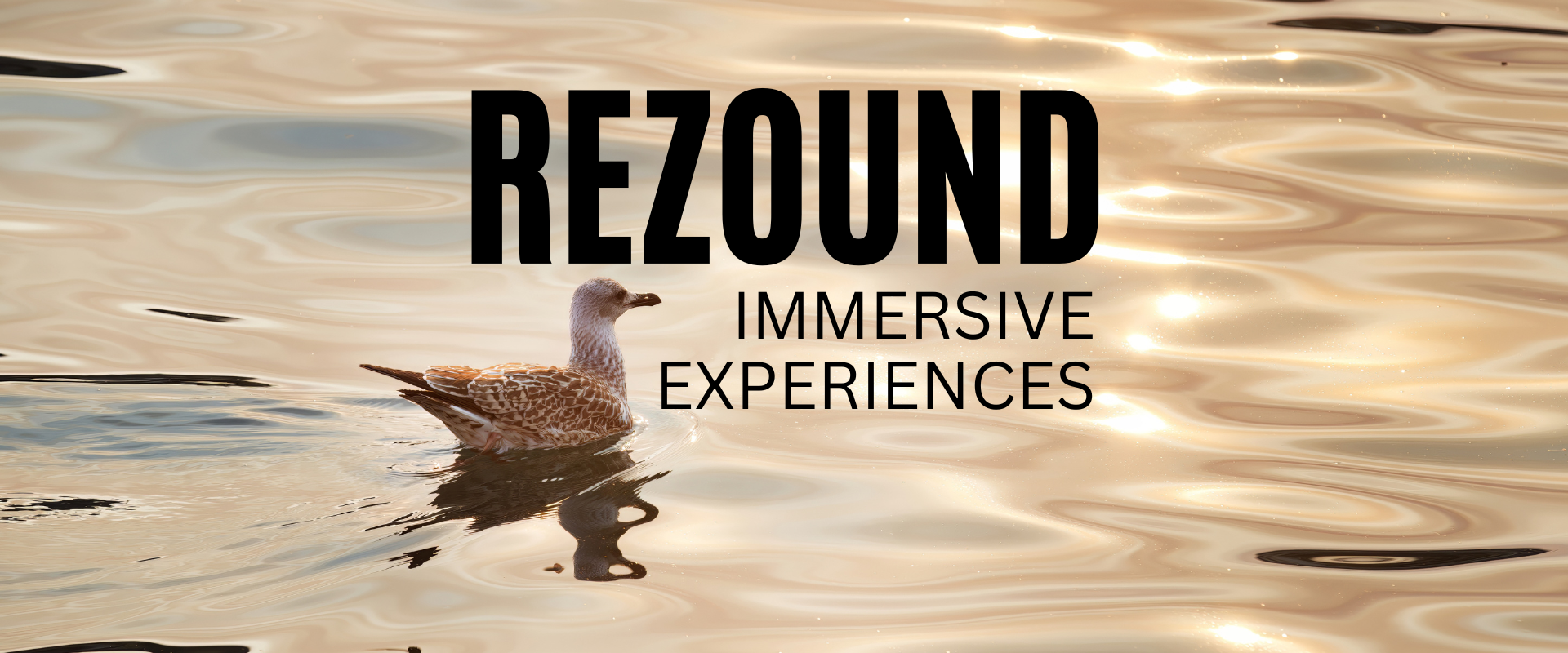 Rezound: Immersive Experiences is written over an ocean sunset