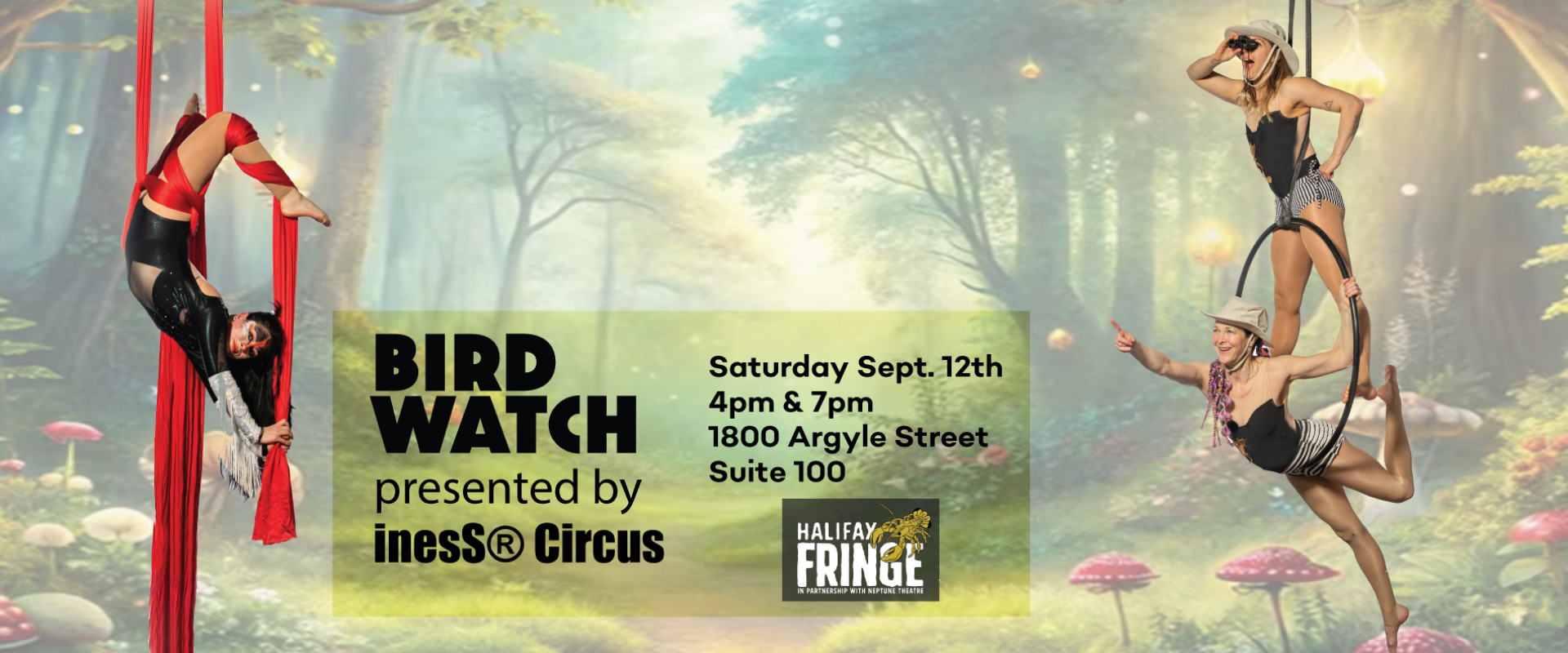 Aerial Circus Show - Birdwatch - Sept. 12th 4pm and 7pm