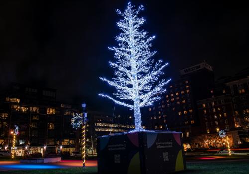 There's a new 28-foot-tall tree in Peace and Friendship Park as part of the DELIGHTFUL DOWNTOWN winter lighting program in Downtown Halifax. 