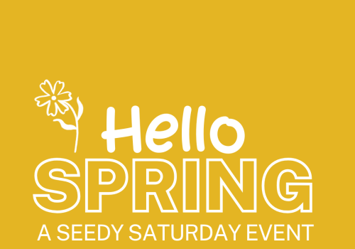 Yellow background with white text, the word "hello" is in a handwritten text, with "spring" in block letters beneath. There is a daisy like flower on the right hand side of the word "hello".