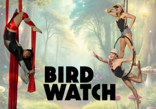 Aerial Circus Show - Birdwatch - Sept. 12th 4pm and 7pm