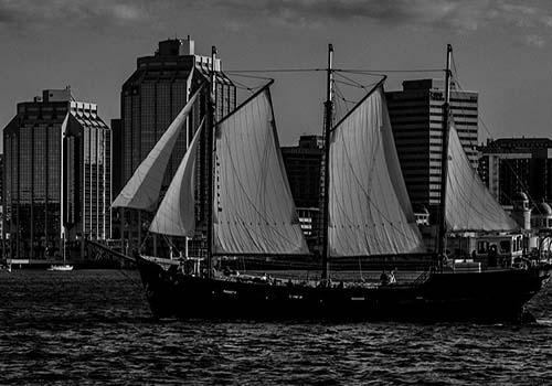 Tall Ship Silva in black and white sailing on the Halifax Harbour with the city of Halifax as the backdrop.