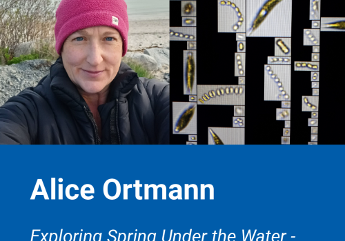 March 31 Tuesday Night Talk, Exploring Spring Under the Water - Microscopic Blooms, Alice Ortmann
