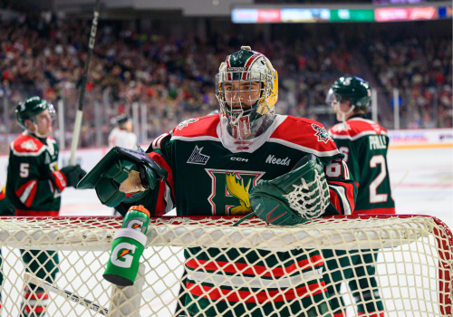 Mooseheads