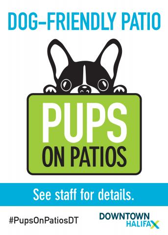Many patios in Downtown Halifax are now dog friendly. 