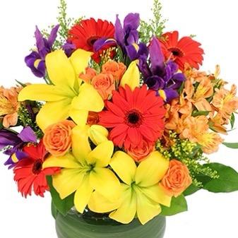 Colourful bouquet of flowers